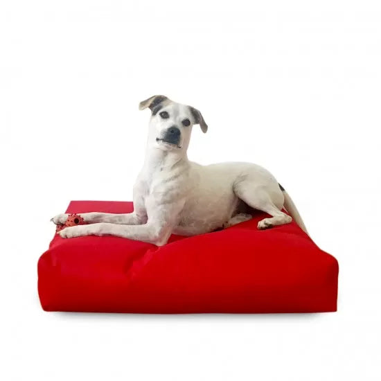 Лаунџ креветче за миленичиња Ави | XL | Lotus Lounge Chair