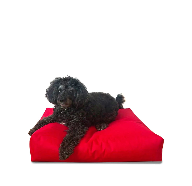 Лаунџ креветче за миленичиња Ави | M | Lotus Lounge Chair