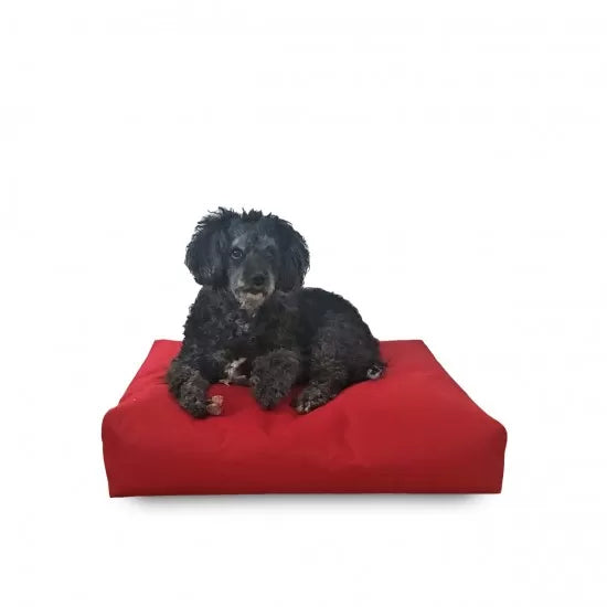 Лаунџ креветче за миленичиња Ави | S | Lotus Lounge Chair