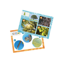 Микроскоп | Buki France