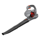 Акумулаторска дувалка за лисја | Iskra | IX - LB36