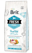 Сува храна за восрасно куче со вкус на риба и тиква | Brit | 12 kg