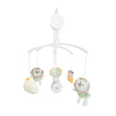 Вртелешка | Kikka Boo | Jungle