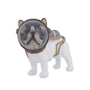 Декорација - Space Dog | Smart Living