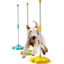 Сет за домашни миленици | Clementino Science and Play | 7+ години