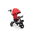 Трицикл | Loco Croco | LK5 6199H