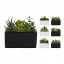 Украс цвеќе | EH | 321000120