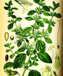 Релакс хербален микс | HG Herbal | Kanna