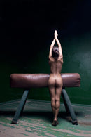 Декоративна фотографија | Репродукција | Lines Of A Beautiful Ballerina | Владимир Тасевски