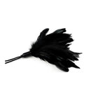 Црн пердув | Feather Tickler Black