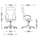 Менаџерски стол | Riga